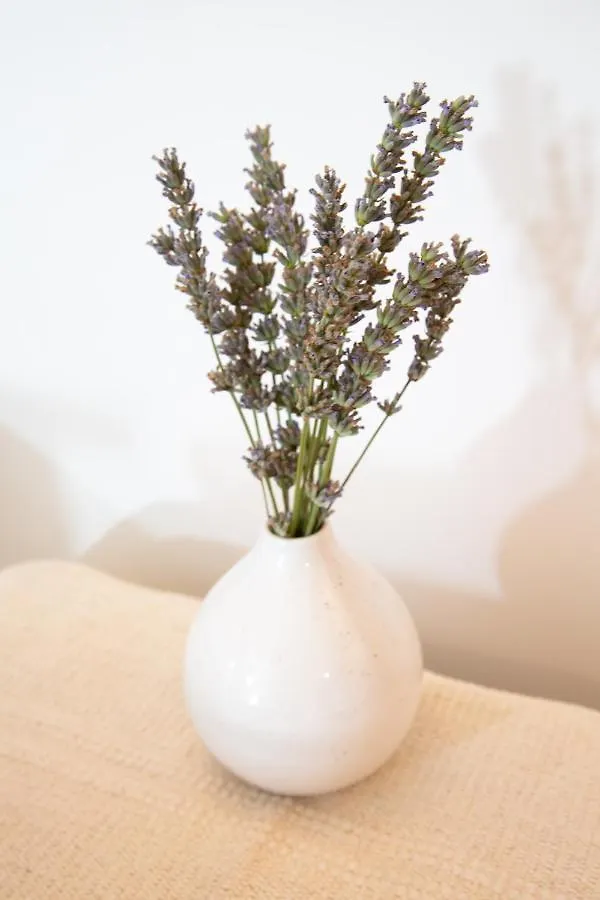 Petit Studio Secret - Coeur De Provence - 4 Personnes Volx France